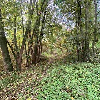 Prodej ostatních pozemků 1003 m² Svijany, Svijany, okres Liberec
