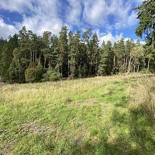 Prodej zemědělské půdy 7068 m² Krsy, Krsy, okres Plzeň-město