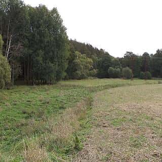 Prodej zemědělské půdy 58887 m² Tachov, Tachov
