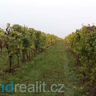 Prodej ostatních pozemků 4541 m² Morkůvky, Morkůvky, okres Břeclav