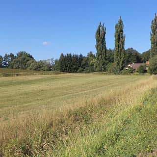Prodej zemědělské půdy 2383 m² Srby, Srby, okres Domažlice