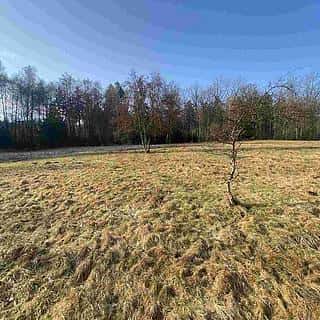Prodej zemědělské půdy 5206 m² Karlovice, Karlovice, okres Semily