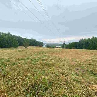 Prodej zemědělské půdy 49321 m² Nové Sedlo, Nové Sedlo, okres Sokolov