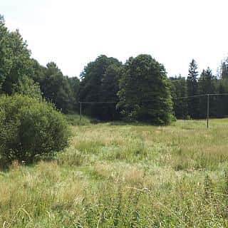 Prodej zemědělské půdy 13137 m² Chodský Újezd, Chodský Újezd, okres Tachov