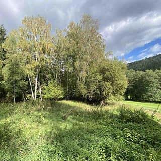 Prodej ostatních pozemků 306 m² Krsy, Krsy, okres Plzeň-město