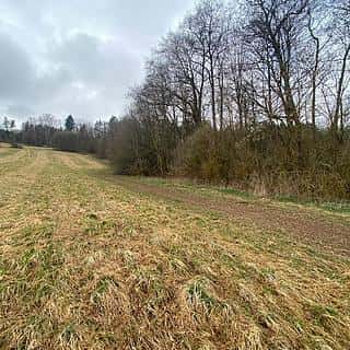 Prodej zemědělské půdy 7826 m² Semily, Semily
