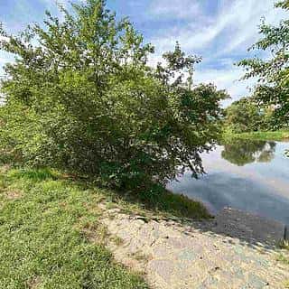 Prodej ostatních pozemků 601 m² Všenory, Všenory, okres Praha-západ