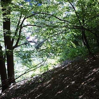 Prodej ostatních pozemků 675 m² Děčín, Děčín