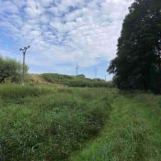 Prodej zemědělské půdy 2776 m² Tachov, Tachov