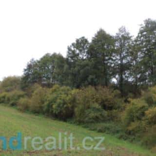 Prodej ostatních pozemků 3639 m² Písečné, Písečné, okres Jindřichův Hradec