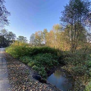Prodej ostatních pozemků 1031 m² Třebařov, Třebařov, okres Svitavy