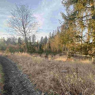 Prodej ostatních pozemků 5268 m² Kočov, Kočov, okres Tachov