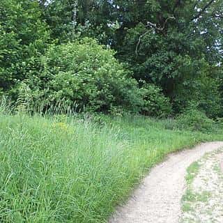 Prodej stavební parcely 1135 m² Pohledy, Pohledy, okres Svitavy