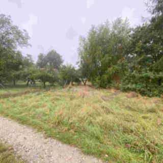 Prodej stavební parcely 588 m² Dolní Bukovsko, Dolní Bukovsko, okres České Budějovice