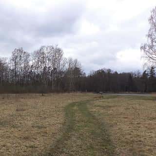 Prodej ostatních pozemků 6727 m² Chlum u Třeboně, Chlum u Třeboně, okres Jindřichův Hradec