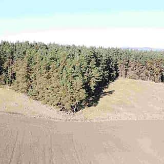 Prodej ostatních pozemků 4563 m² Tisová, Tisová, okres Tachov