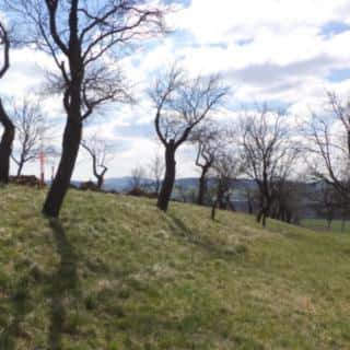 Prodej ostatních pozemků 984 m² Hluk, Hluk, okres Uherské Hradiště