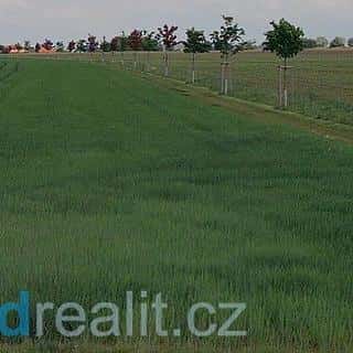 Prodej ostatních pozemků 4552 m² Radonice, Radonice, okres Praha-východ