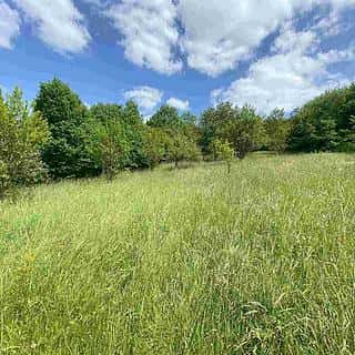 Prodej stavební parcely 2790 m² Nedašova Lhota, Nedašova Lhota, okres Zlín