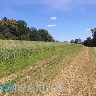 Prodej zemědělské půdy 18412 m² Dříteň, Dříteň, okres České Budějovice