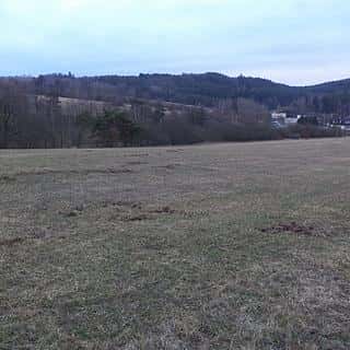 Prodej zemědělské půdy 6625 m² Tis u Blatna, Tis u Blatna, okres Plzeň-město