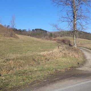 Prodej ostatních pozemků 3430 m² Úštěk, Úštěk, okres Litoměřice