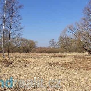 Prodej ostatních pozemků 4593 m² Vesce, Vesce, okres Tábor