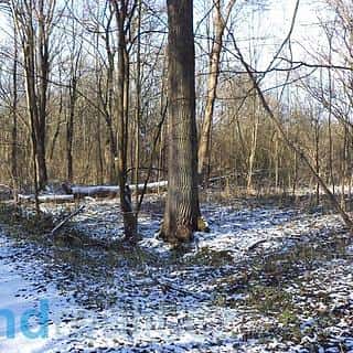 Prodej ostatních pozemků 3575 m² Staré Město pod Landštejnem, Staré Město pod Landštejnem, okres Jindřichův Hradec