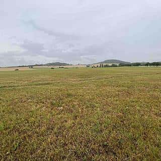 Prodej ostatních pozemků 1417 m² Rabí, Rabí, okres Klatovy