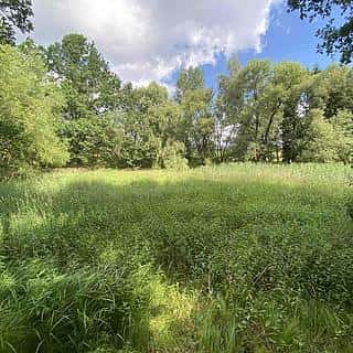 Prodej vodní plochy 4246 m² Nové Hrady, Nové Hrady, okres České Budějovice