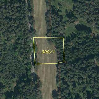 Prodej ostatních pozemků 2495 m² Chlum u Třeboně, Chlum u Třeboně, okres Jindřichův Hradec