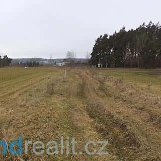 Prodej zemědělské půdy 3739 m² Lom u Tachova, Lom u Tachova, okres Tachov
