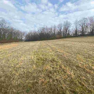 Prodej ostatních pozemků 9269 m² Linhartice, Linhartice, okres Svitavy