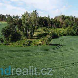 Prodej ostatních pozemků 8600 m² Kundratice, Kundratice, okres Žďár nad Sázavou