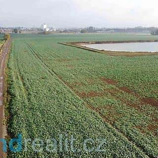 Prodej ostatních pozemků 3824 m² Smiřice, Smiřice, okres Hradec Králové