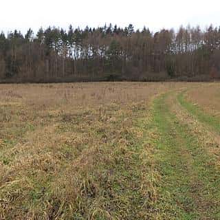 Prodej zemědělské půdy 7890 m² Srby, Srby, okres Plzeň-město