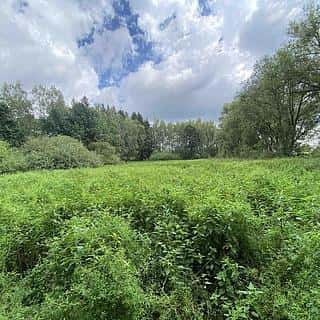 Prodej vodní plochy 6751 m² Nové Hrady, Nové Hrady, okres České Budějovice