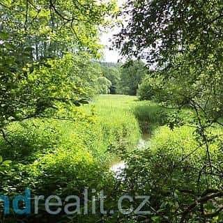 Prodej zemědělské půdy 3859 m² Číměř, Číměř, okres Jindřichův Hradec