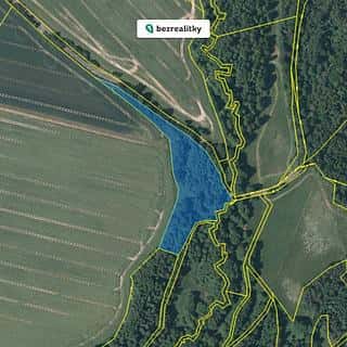 Prodej lesa 9770 m² Lipová, Lipová, okres Cheb