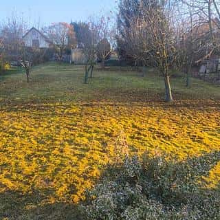 Prodej zahrady 550 m² Veltěže, Veltěže, okres Louny