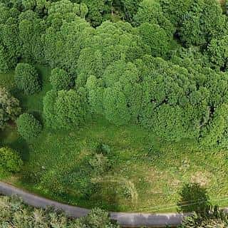 Prodej louky 6111 m² Borušov, Borušov, okres Svitavy
