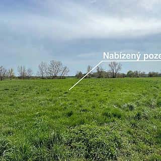 Prodej ostatních pozemků 4547 m² Olomouc, Olomouc