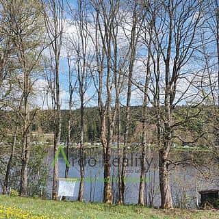 Prodej stavební parcely 600 m² Frymburk, Frymburk, okres Český Krumlov
