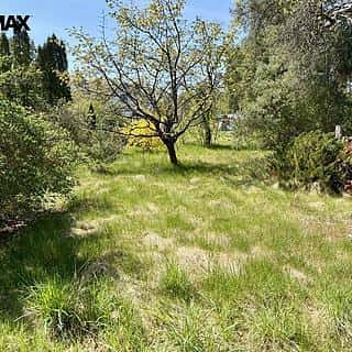 Prodej stavební parcely 2196 m² Hradištko, Hradištko, okres Nymburk