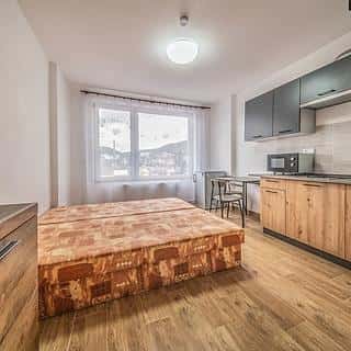 Pronájem bytu 1+kk, garsoniery 25 m² Ústí nad Labem, Čajkovského, Ústí nad Labem