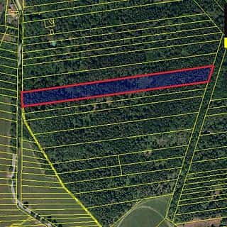 Prodej lesa 13182 m² Vršovice, Vršovice, okres Opava