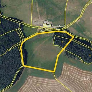 Prodej lesa 15527 m² Vranová, Vranová, okres Blansko
