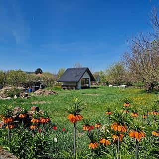 Prodej stavební parcely 784 m² Čebín, Čebín, okres Brno-venkov