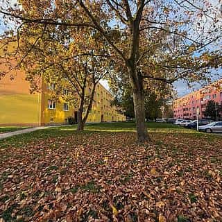 Prodej bytu 2+1 56 m² Bílina, M. Švabinského, Bílina, okres Teplice