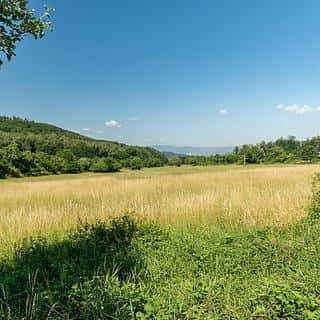 Prodej komerčního pozemku 23391 m² Braňany, Braňany, okres Most